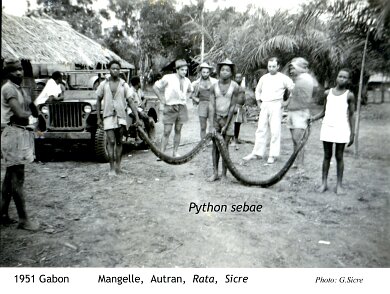 ${folderTitle} Gabon Ogoué 1951 par Gérard Sicre ${