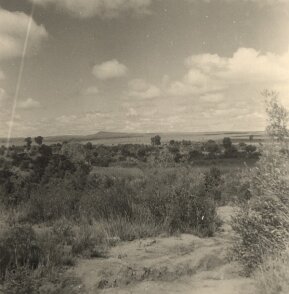 ${folderTitle} Madagascar vers 1952; Paysage ${