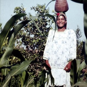 ${folderTitle} Delta du Nil en 1968... ${
