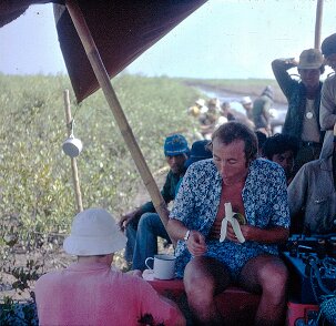 1971: Indonésie, le terrain Le terrain en Indonésie en 1971; en plein boulot ${