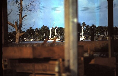 ${folderTitle} bateaux Pinisis ${