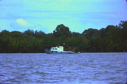 1973-Indonesie_Mahakam_PICT10085-PL Indonésie, Mahakam - Par Pierre Lauro ${fileName} © Pierre Lauro