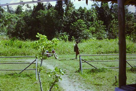 1974-Indonesie_Irian-Jaya_PICT0169-PL Indonésie, Irian Jaya, camp de Bintuni - Par Pierre Lauro ${fileName} © Pierre Lauro