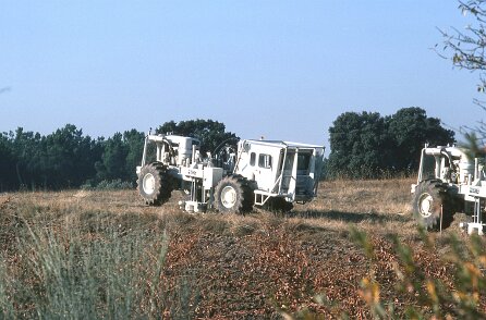 1979 Espagne par François Corageoud ${