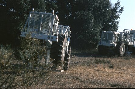 1979 Espagne par François Corageoud ${