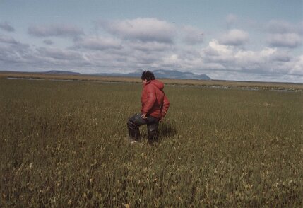 Alaska, Aléoutiennes été 1982 par Christian Madillac Patrick L. ${