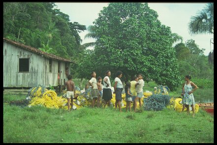 IMG0005 Mission 416-39-33 Sercel 348, Brésil Amazonie, ile de Marajó 2 ou 3 mois en 11988 ${fileName} © Pierre-Marie GUYOT