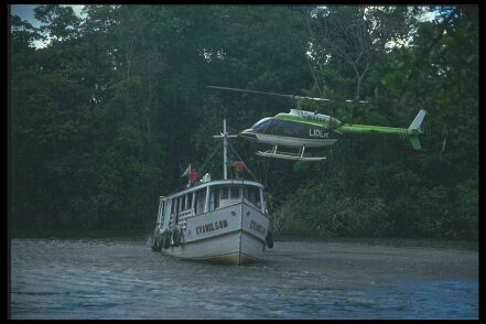 IMG0008 Mission 416-39-33 Sercel 348, Brésil Amazonie, ile de Marajó 2 ou 3 mois en 11988 ${fileName} © Pierre-Marie GUYOT