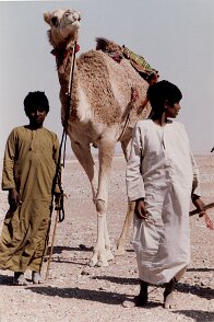 1990: Oman par Christian Madillac ${