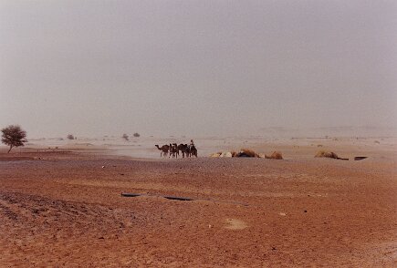 Mission 337 43 56 - Niger 1992 2 région de Termit ${