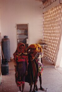 Mission 337 43 56 - Termit Niger 1992 3 région de Termit ${