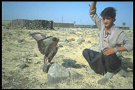 IMG0025 Mission 206-38-42 Sercel 348, Turquie Kurdistan (Diyarbakir, Van) 2 ou 3 mois en 1992 ${fileName} © Pierre-Marie GUYOT