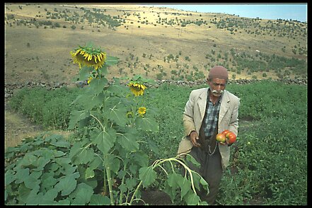 IMG0035 Mission 206-38-42 Sercel 348, Turquie Kurdistan (Diyarbakir, Van) 2 ou 3 mois en 1992 ${fileName} © Pierre-Marie GUYOT