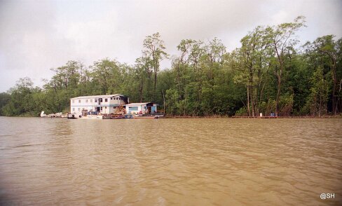 245_VENEZUELA_CGG_1994_029 Shallow Water 424 15 62, dans le delta du Rio Macareo (bassin de l'Orénoque) au Vénézuela en 1994. ${