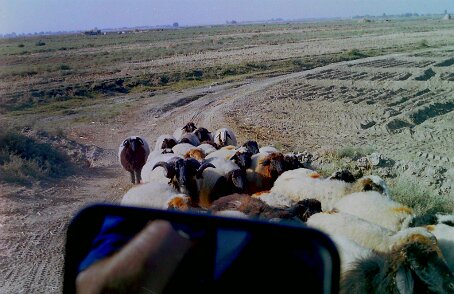 20260125110948_01 Syrie en 1998 ${