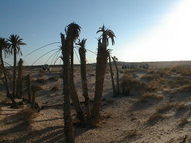 2000: Tunisie par Christian Madillac Mission Tunisie en mars 2000 ${