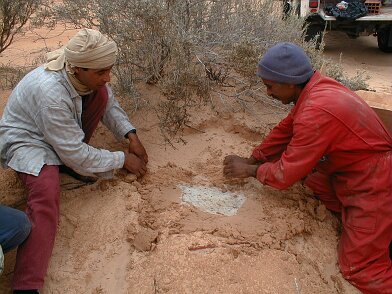 2000: Tunisie par Christian Madillac Mission Tunisie en mars 2000 ${