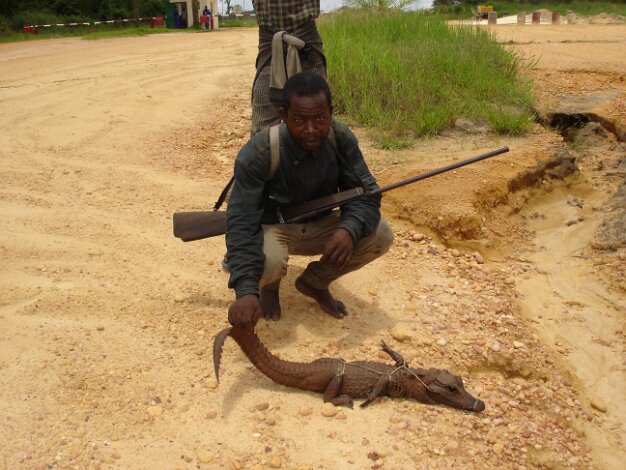 2006: Aprés CGG, séjour au Congo ( Puits d'eau - ZETAH ) - LOANGO