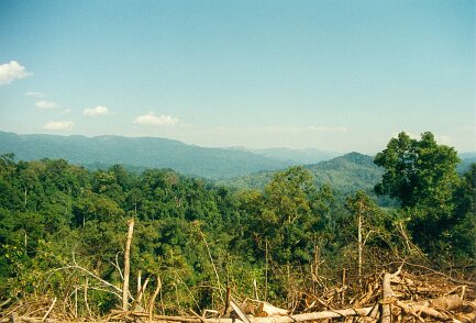 Gazoduc Myanmar Total - 10 - Ban i tong frontiere Birmano - Thailandaise - ${label} ${