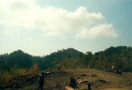 Gazoduc Myanmar Total - 8 - forage - ${label} ${