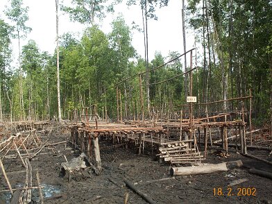 Photos Indonesie - Irian Jaya/Bardas/Barda1/Barda1apres - ${label} ${