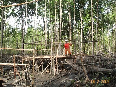 Photos Indonesie - Irian Jaya/Bardas/Barda1/Barda1apres - ${label} ${