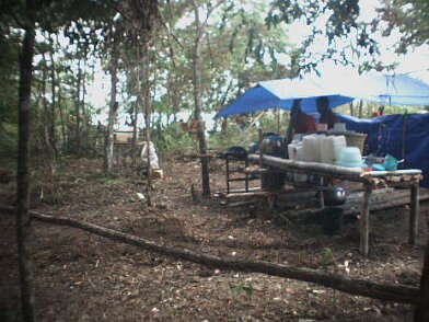 Photos Indonesie - Irian Jaya/Bardas/Barda12 - ${label} ${