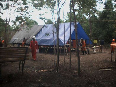 Photos Indonesie - Irian Jaya/Bardas/Barda12 - ${label} ${