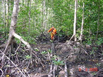 Photos Indonesie - Irian Jaya/Bridging/Bridging_0302 - ${label} ${