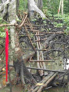 Photos Indonesie - Irian Jaya/Bridging - ${label} ${