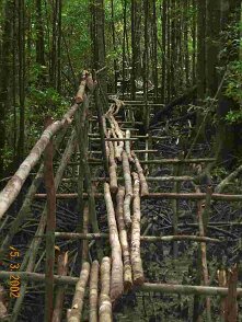 Photos Indonesie - Irian Jaya/Bridging - ${label} ${