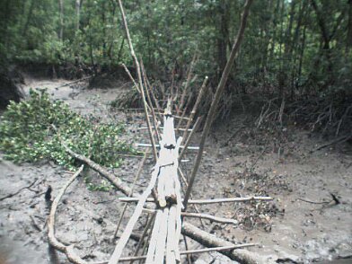 Photos Indonesie - Irian Jaya/Bridging - ${label} ${