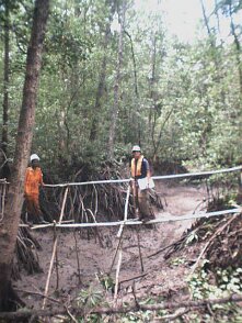 Photos Indonesie - Irian Jaya/Bridging - ${label} ${
