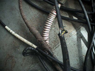 Photos Indonesie - Irian Jaya/CABLES - ${label} ${