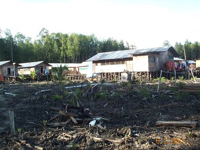 Photos Indonesie - Irian Jaya/Camp - ${label} ${