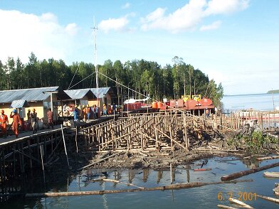 Photos Indonesie - Irian Jaya/Camp - ${label} ${