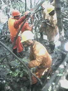 Photos Indonesie - Irian Jaya/Job training/Drilling Job Training - ${label} ${