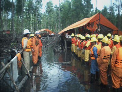 Photos Indonesie - Irian Jaya/Job training/Recording - ${label} ${
