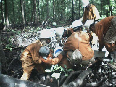 Photos Indonesie - Irian Jaya/Medevacs/260202 - ${label} ${