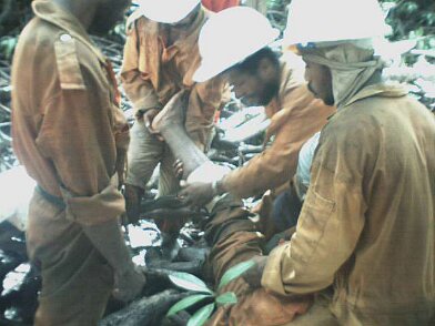 Photos Indonesie - Irian Jaya/Medevacs/260202 - ${label} ${