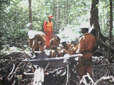 Photos Indonesie - Irian Jaya/Medevacs/260202 - ${label} ${