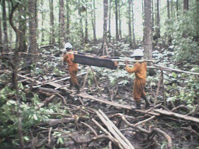 Photos Indonesie - Irian Jaya/Medevacs/260202 - ${label} ${