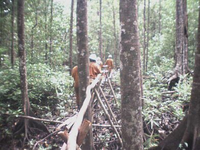 Photos Indonesie - Irian Jaya/Medevacs/260202 - ${label} ${