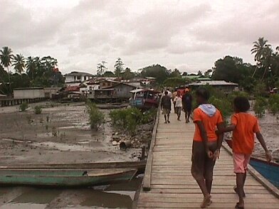 Photos Indonesie - Irian Jaya/Paysage - ${label} ${