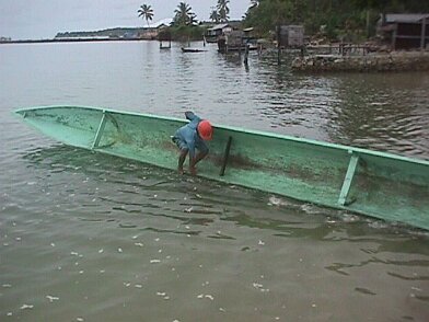 Photos Indonesie - Irian Jaya/Paysage - ${label} ${