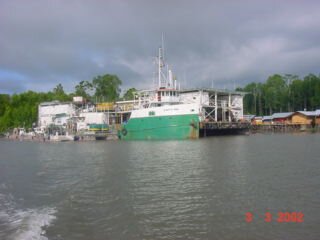 Photos Indonesie - Irian Jaya/Type of Mangrove - ${label} ${