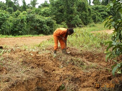 Photos Indonesie - Irian Jaya/base camp station/GPS06 - ${label} ${