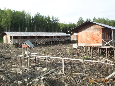 Photos Indonesie - Irian Jaya/mumusinov2001 - ${label} ${