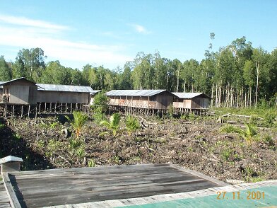Photos Indonesie - Irian Jaya/mumusinov2001 - ${label} ${
