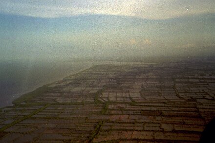 Photos Indonesie - Veronique Larue- photos de sa part/Mangrove - ${label} ${